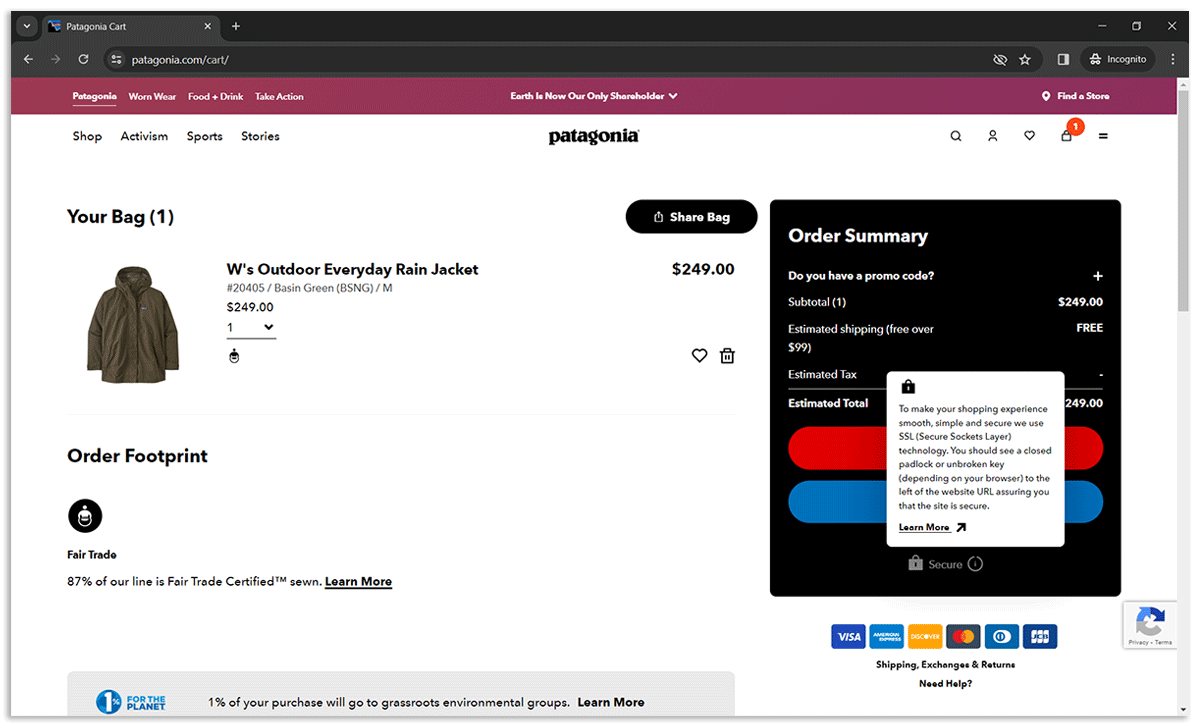 Patagonia's checkout process security